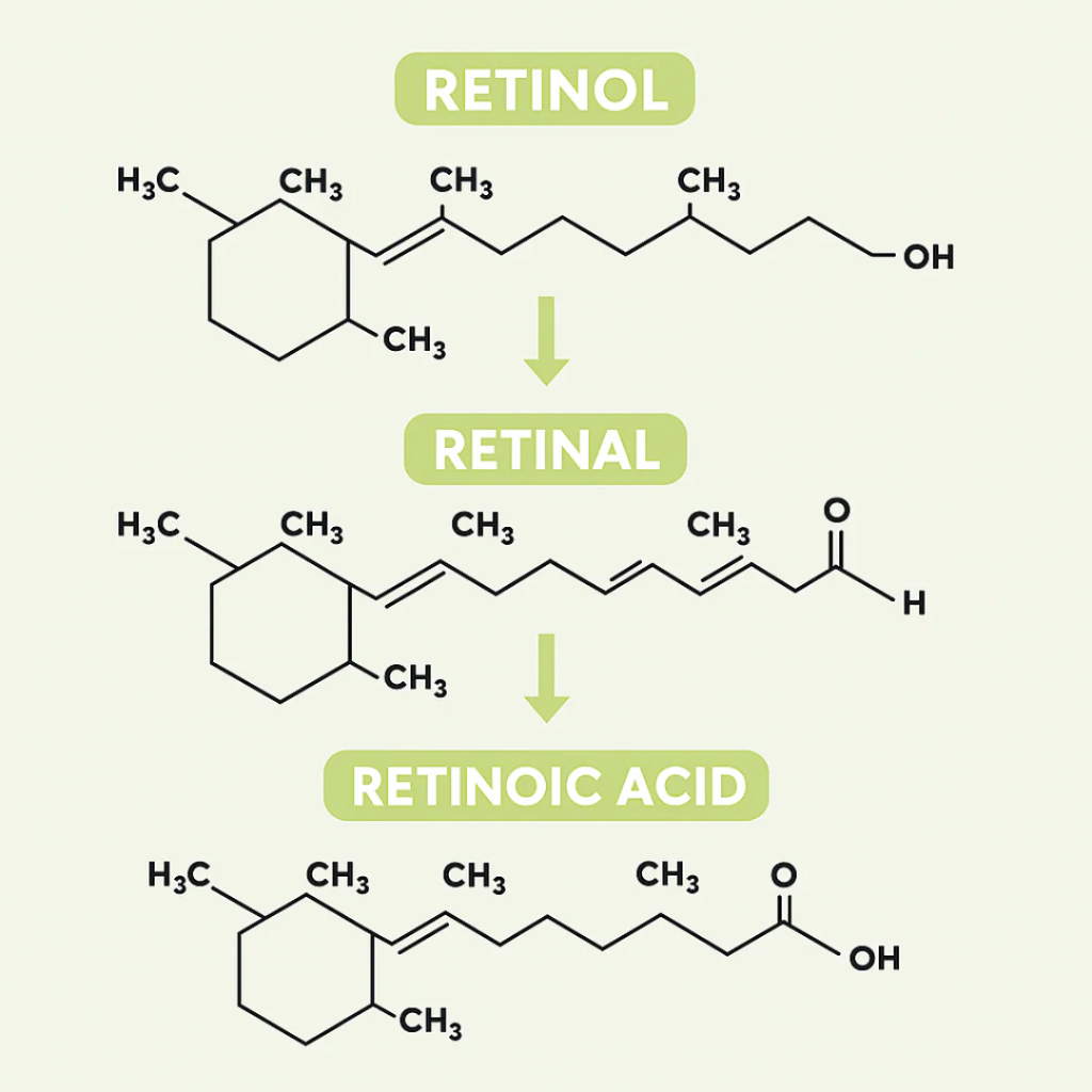 Fiorea™ Retinal Shot - Adiós Arrugas